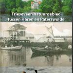 Frieseveen klein