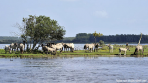 Schermafbeelding 2019-08-16 om 17.23.30