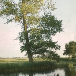 Schermafbeelding 2019-10-11 om 13.52.06